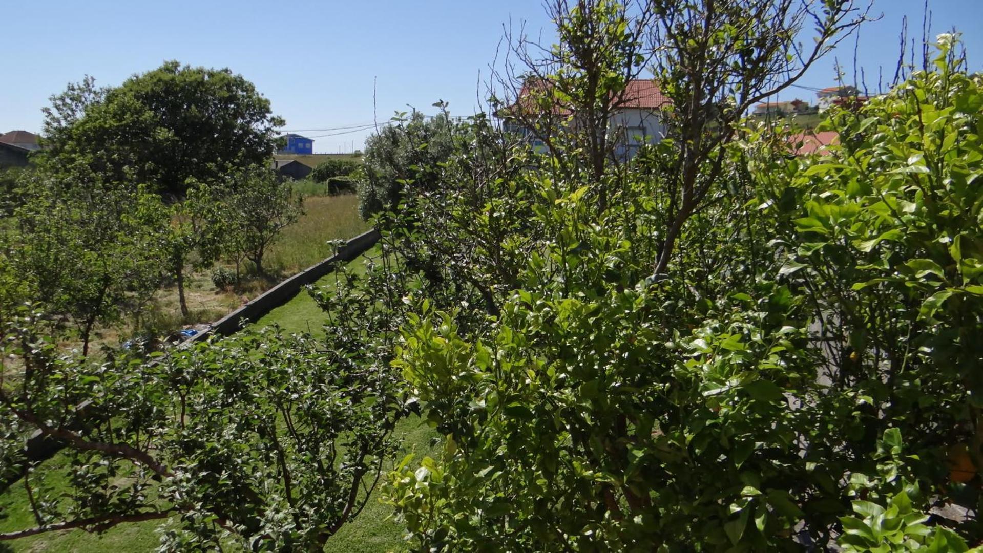 Casa De Lolo En Larino Villa Carnota Dış mekan fotoğraf